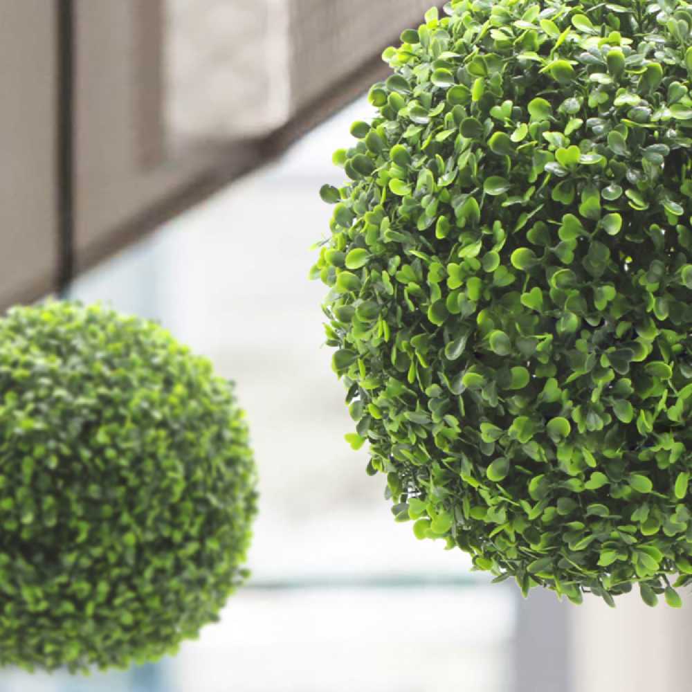 BOLA SETO BOJ 50CM
